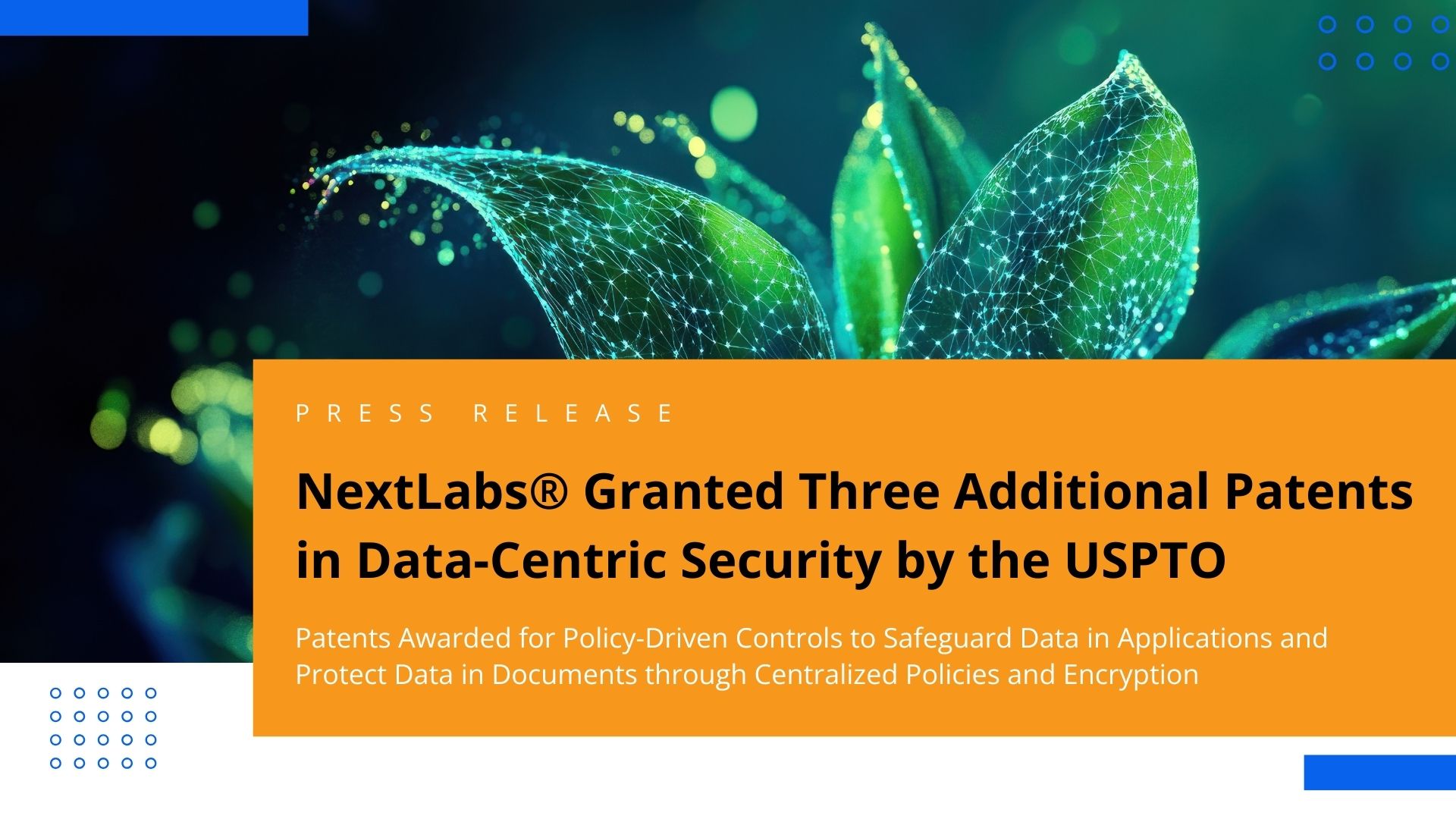 image - NXL granted three additional patents by USPTO